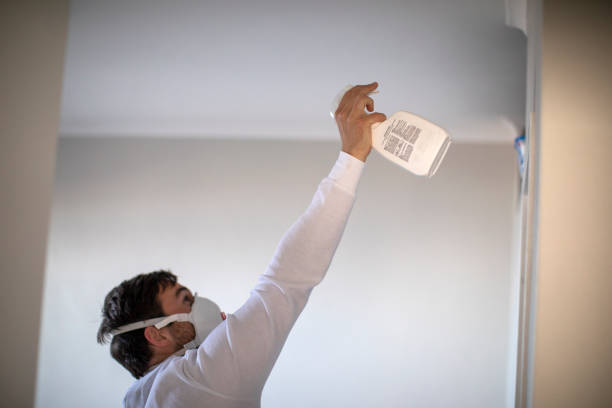 Best Toxic Mold Removal  in East Lexington, VA