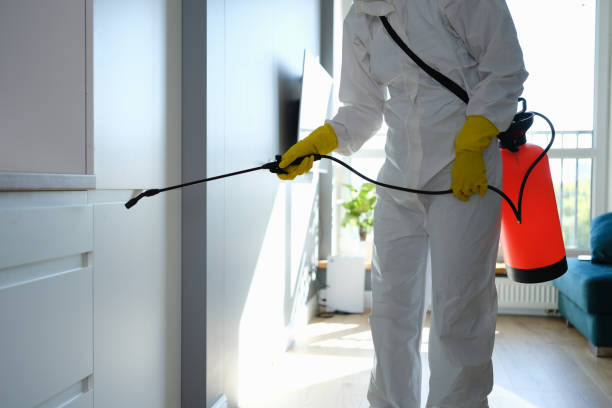 Best Crawl Space Mold Removal  in East Lexington, VA