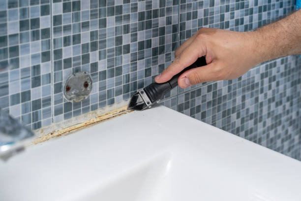 Best Mold Remediation Services  in East Lexington, VA