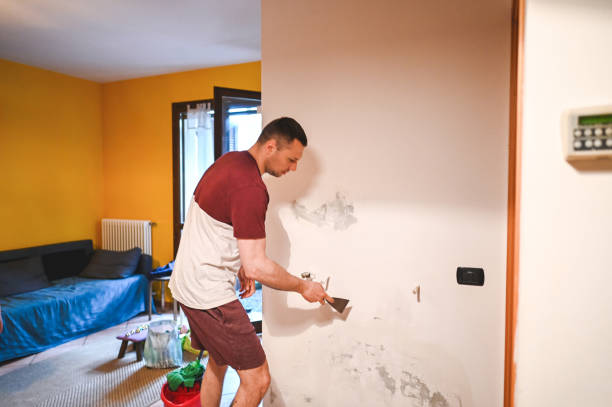 Best Mold Removal Company Near Me  in East Lexington, VA