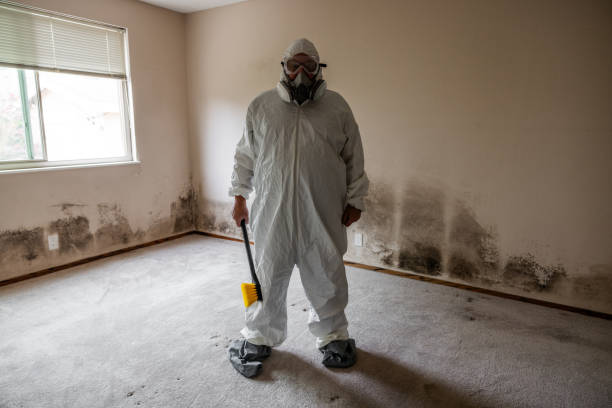 Best Certified Mold Removal  in East Lexington, VA